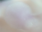 EMAGE:27927