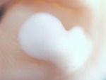 EMAGE:28052