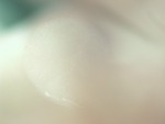 EMAGE:28436