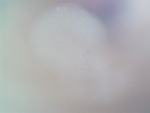 EMAGE:28529