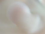 EMAGE:28553