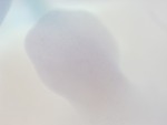 EMAGE:28784