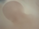 EMAGE:28974