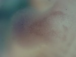 EMAGE:29021