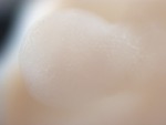 EMAGE:29082