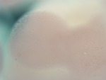 EMAGE:29106