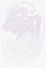 EMAGE:29218