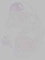 EMAGE:29232