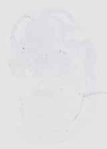 EMAGE:29234