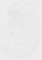EMAGE:29249
