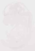 EMAGE:29249