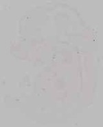 EMAGE:29253