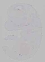 EMAGE:29253