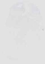 EMAGE:29274