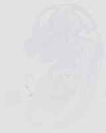 EMAGE:29274