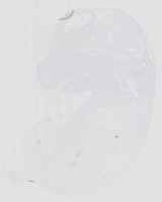 EMAGE:29274