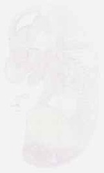 EMAGE:29325
