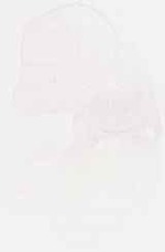 EMAGE:29390