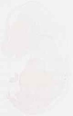 EMAGE:29390