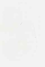 EMAGE:29390