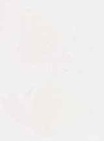 EMAGE:29390
