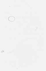 EMAGE:29390