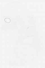 EMAGE:29402
