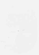 EMAGE:29405