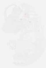 EMAGE:29418