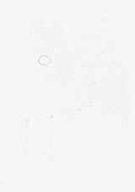 EMAGE:29436