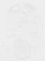 EMAGE:29457