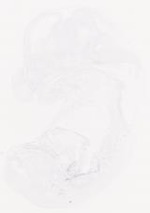 EMAGE:29458