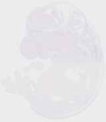 EMAGE:29459