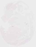 EMAGE:29459