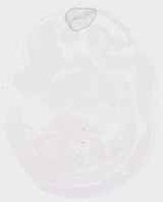 EMAGE:29459