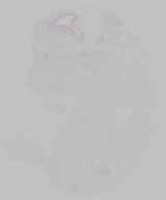 EMAGE:29482
