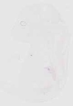 EMAGE:29503