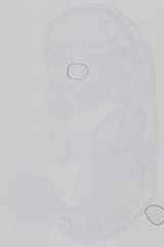 EMAGE:29526