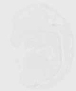 EMAGE:29588
