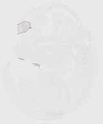EMAGE:29588