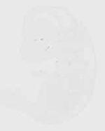EMAGE:29588