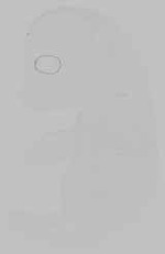 EMAGE:29592