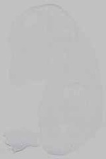 EMAGE:29592