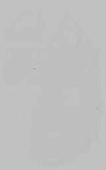 EMAGE:29592