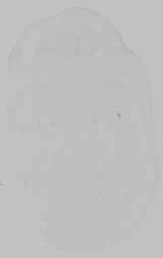 EMAGE:29600