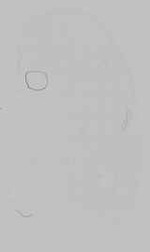 EMAGE:29600