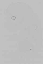EMAGE:29602