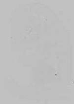 EMAGE:29602