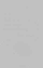 EMAGE:29602