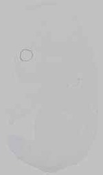 EMAGE:29602